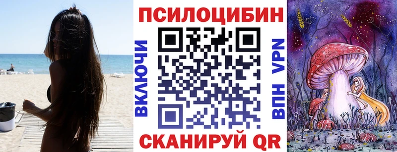 Псилоцибиновые грибы мицелий  хочу   Дрезна 